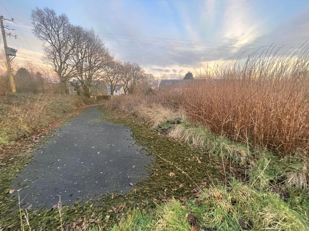 Lot: 15 - FREEHOLD LAND AND ROAD - Overgrown land with roadway from alternative angle